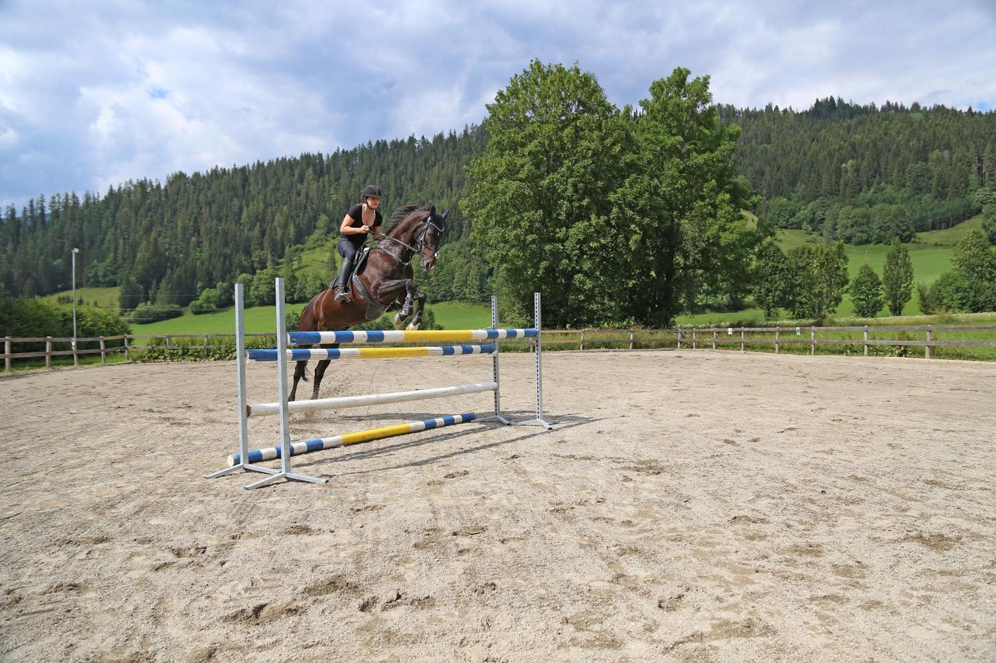 Ferienhof Kasparbauer Radstadt Buitenkant foto